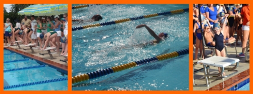 https://asoft4133.accrisoft.com/nojcc/clientuploads/Webpage Images/Swimteam-Stitch.jpg